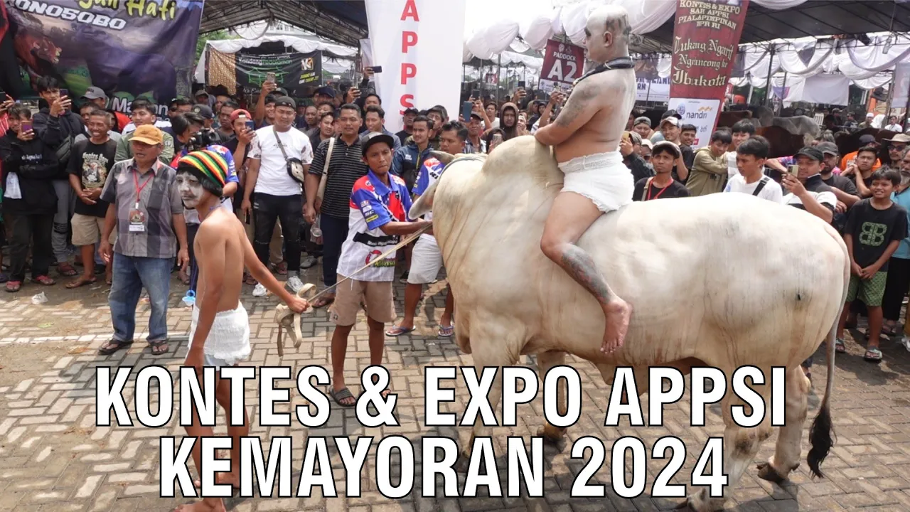 
                                 Kontes-&-Expo-APPSI-Kemayoran-2024